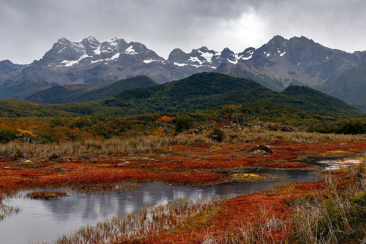 پارک ملی Tierra del Fuego